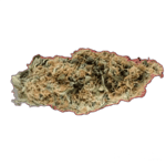 Costa Canna Dynamics - Fortissimo